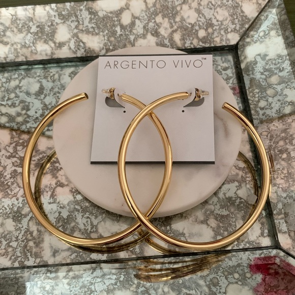 Argento Vivo Jewelry - NWOT Argento Vivo Hoops
